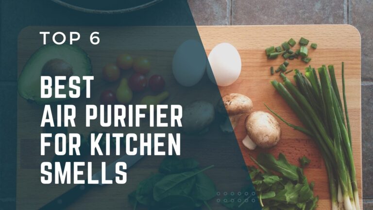 Feature Image - Best Air purifier for kitchen smells